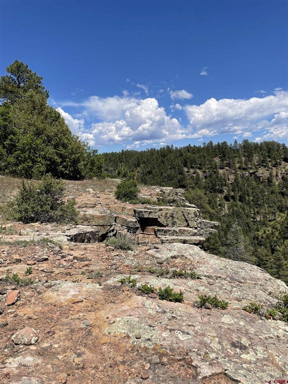 Xx W Highway 160 Pagosa Springs CO 81147