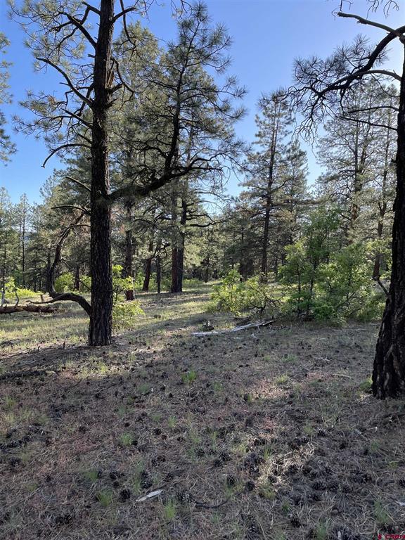 Xx W Highway 160 Pagosa Springs CO 81147