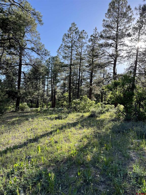 Xx W Highway 160 Pagosa Springs CO 81147