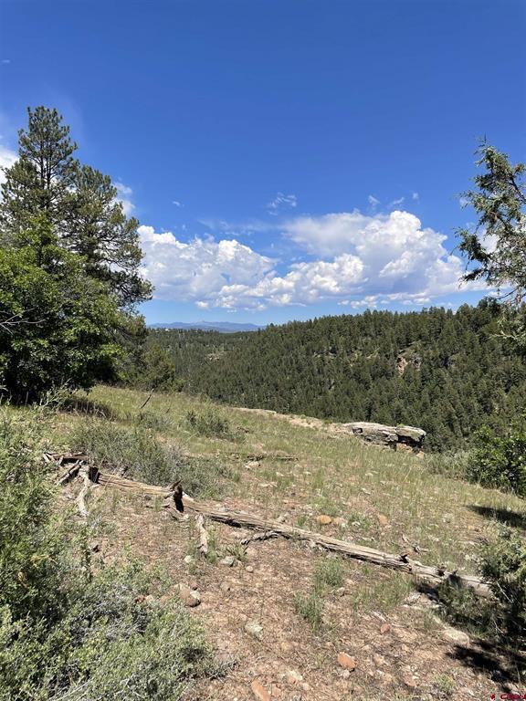 Xx W Highway 160 Pagosa Springs CO 81147