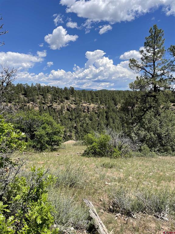 Xx W Highway 160 Pagosa Springs CO 81147