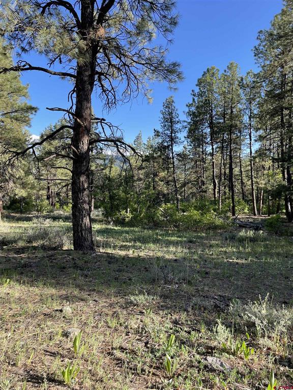 Xx W Highway 160 Pagosa Springs CO 81147