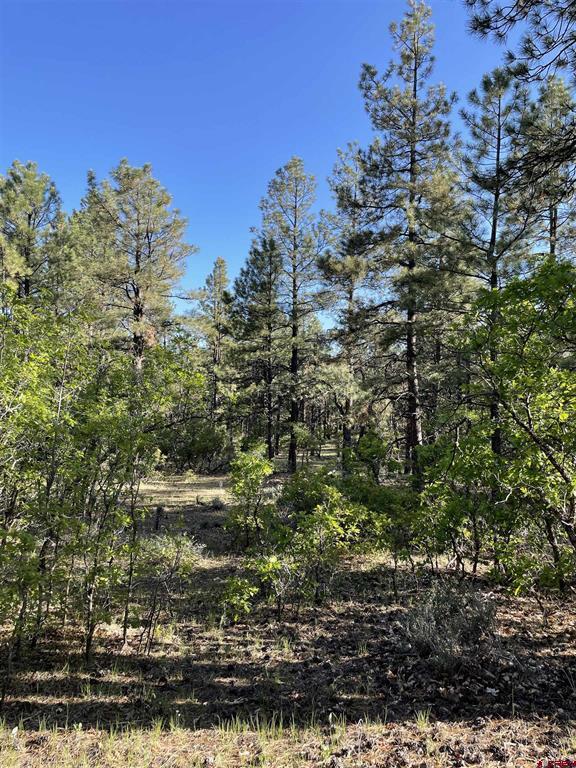 Xx W Highway 160 Pagosa Springs CO 81147