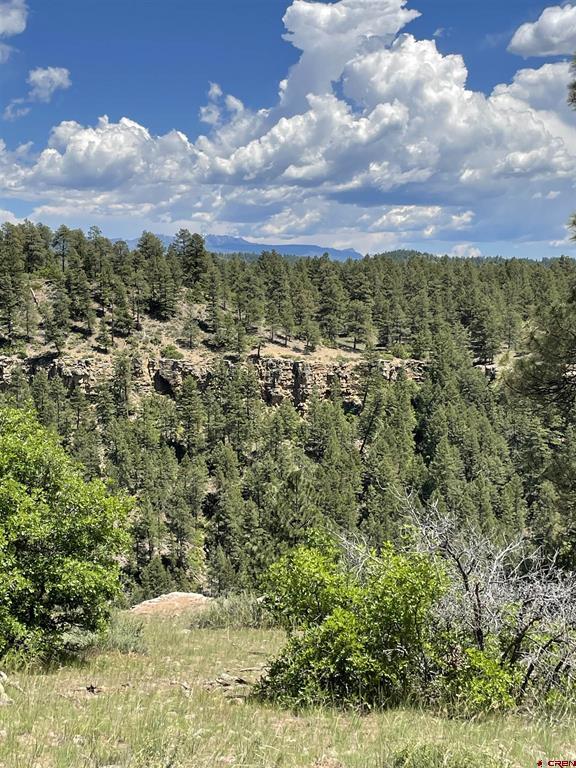Xx W Highway 160 Pagosa Springs CO 81147