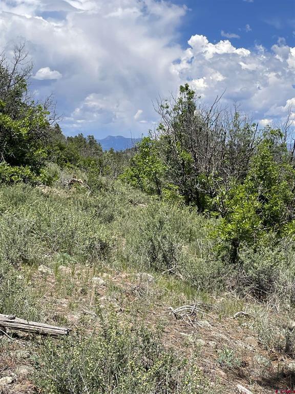Xx W Highway 160 Pagosa Springs CO 81147
