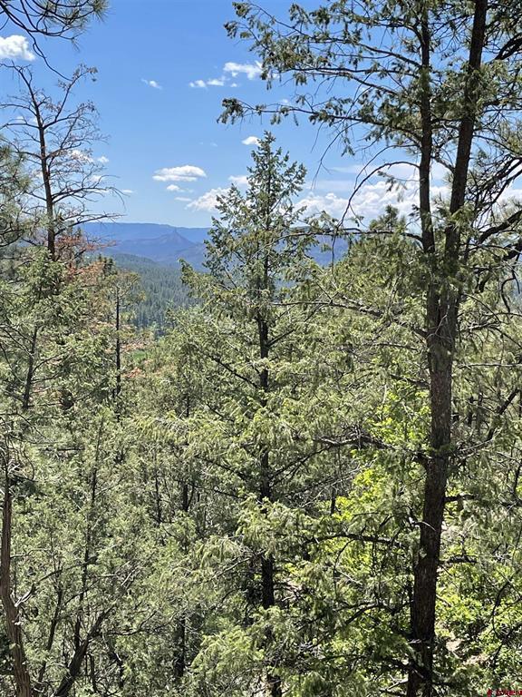 Xx W Highway 160 Pagosa Springs CO 81147