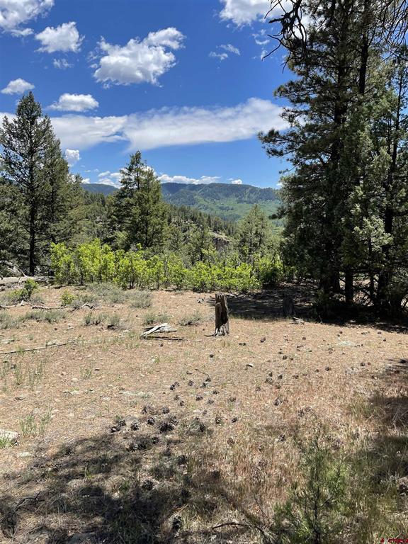 Xx W Highway 160 Pagosa Springs CO 81147