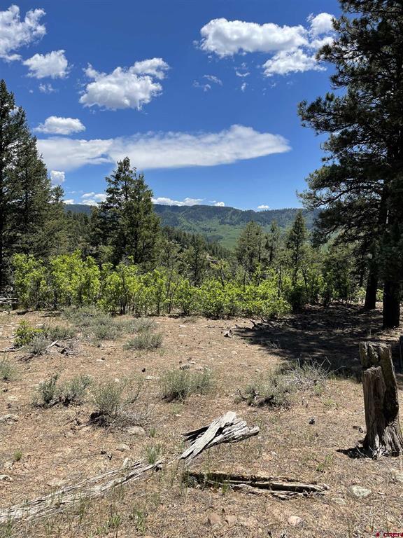 Xx W Highway 160 Pagosa Springs CO 81147