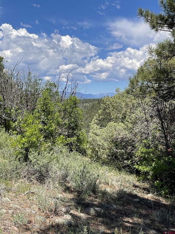 Xx W Highway 160 Pagosa Springs CO 81147