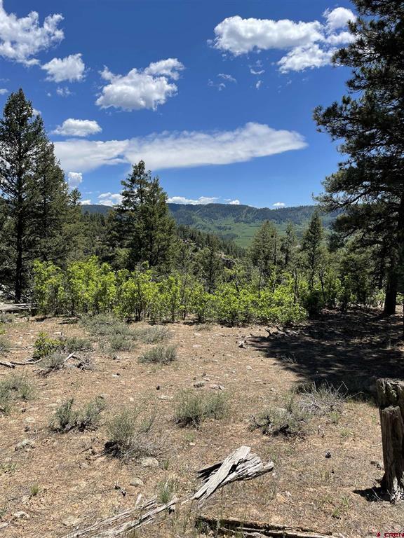 Xx W Highway 160 Pagosa Springs CO 81147