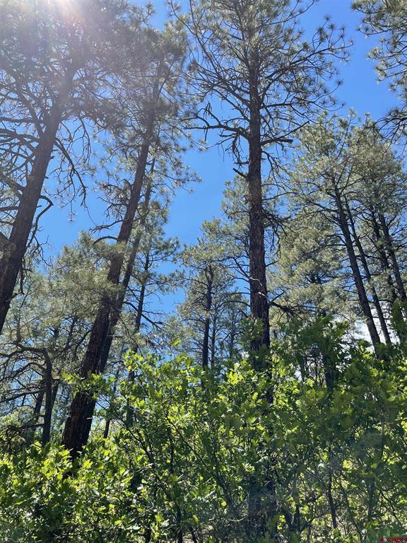 Xx W Highway 160 Pagosa Springs CO 81147