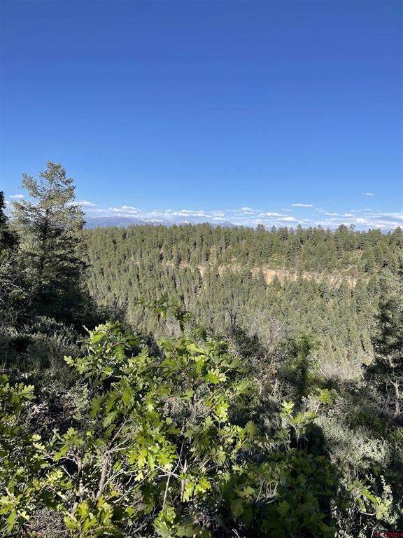 Xx W Highway 160 Pagosa Springs CO 81147