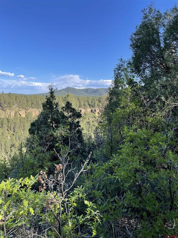 Xx W Highway 160 Pagosa Springs CO 81147