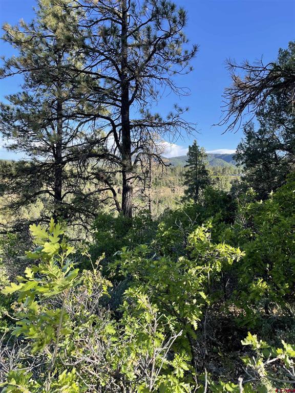 Xx W Highway 160 Pagosa Springs CO 81147