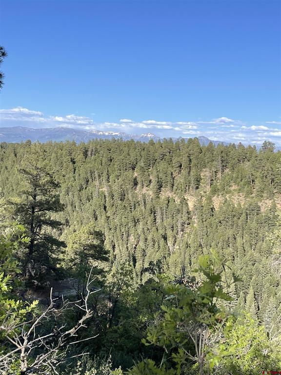 Xx W Highway 160 Pagosa Springs CO 81147