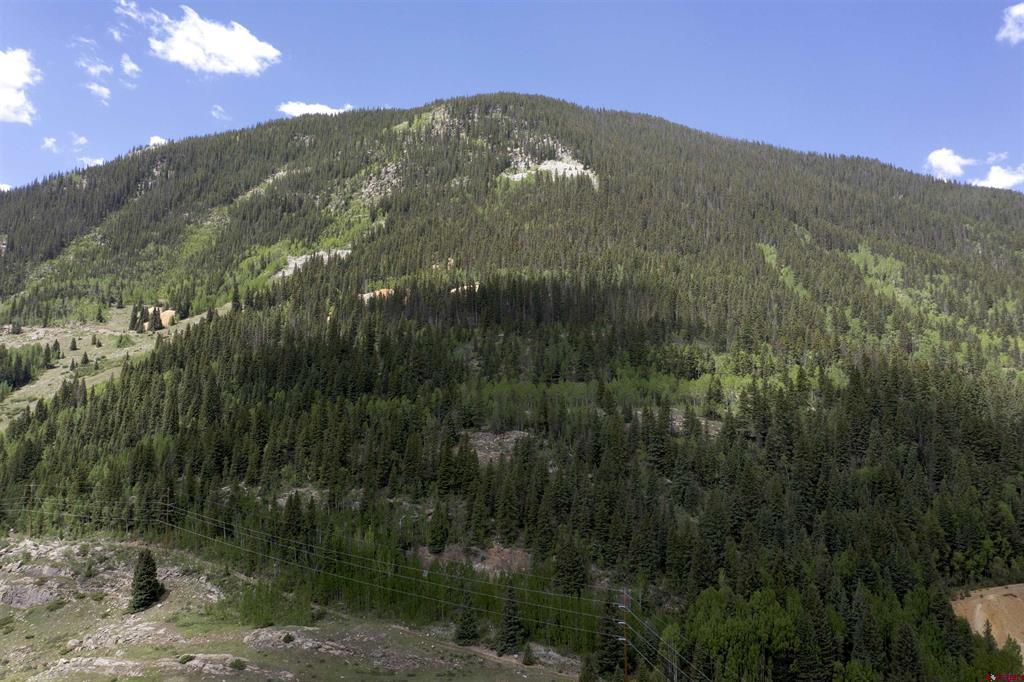 Tbd Cr 31 Silverton CO 81433