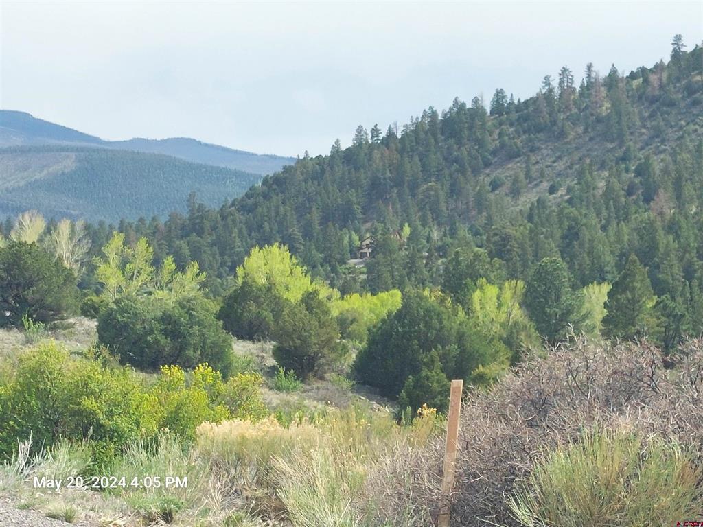 2166 Bear Creek Circle South Fork CO 81154