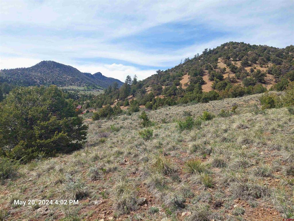 2166 Bear Creek Circle South Fork CO 81154