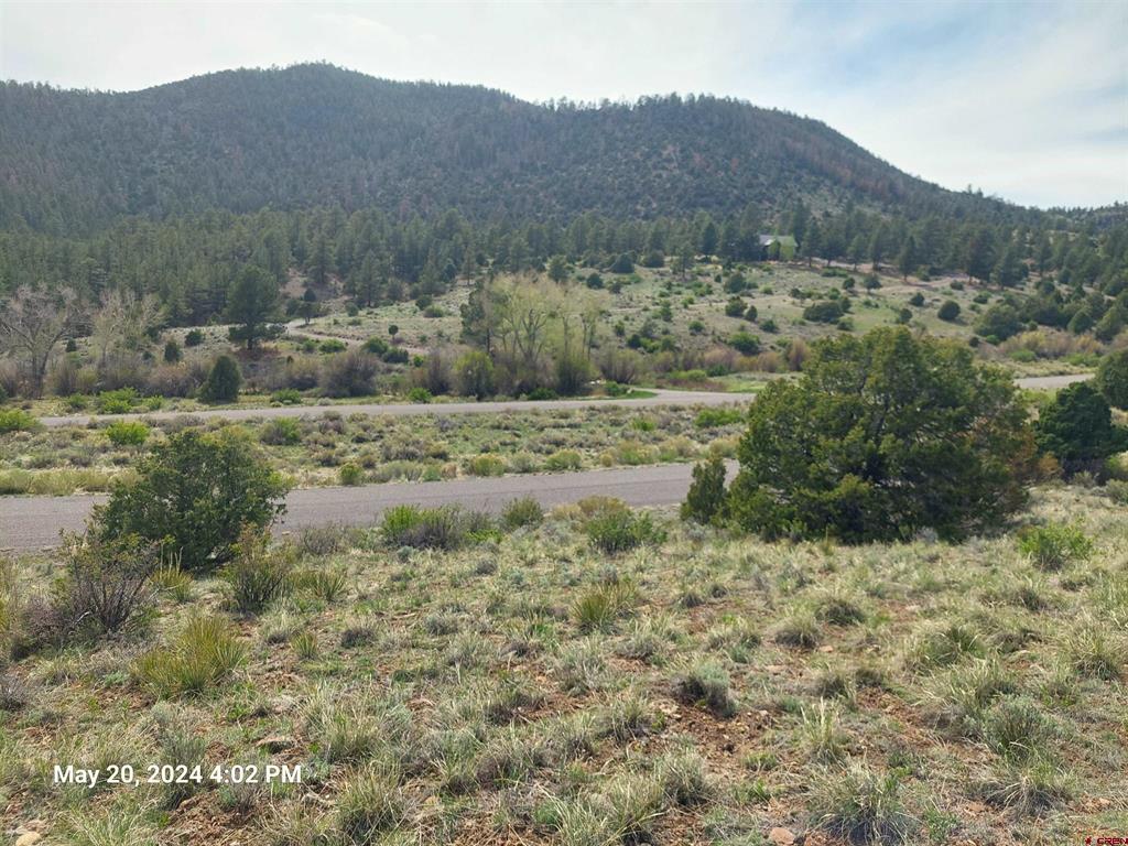 2166 Bear Creek Circle South Fork CO 81154