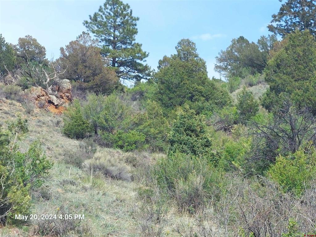 2166 Bear Creek Circle South Fork CO 81154