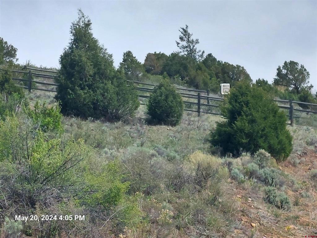 2166 Bear Creek Circle South Fork CO 81154