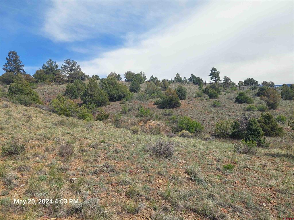 2166 Bear Creek Circle South Fork CO 81154