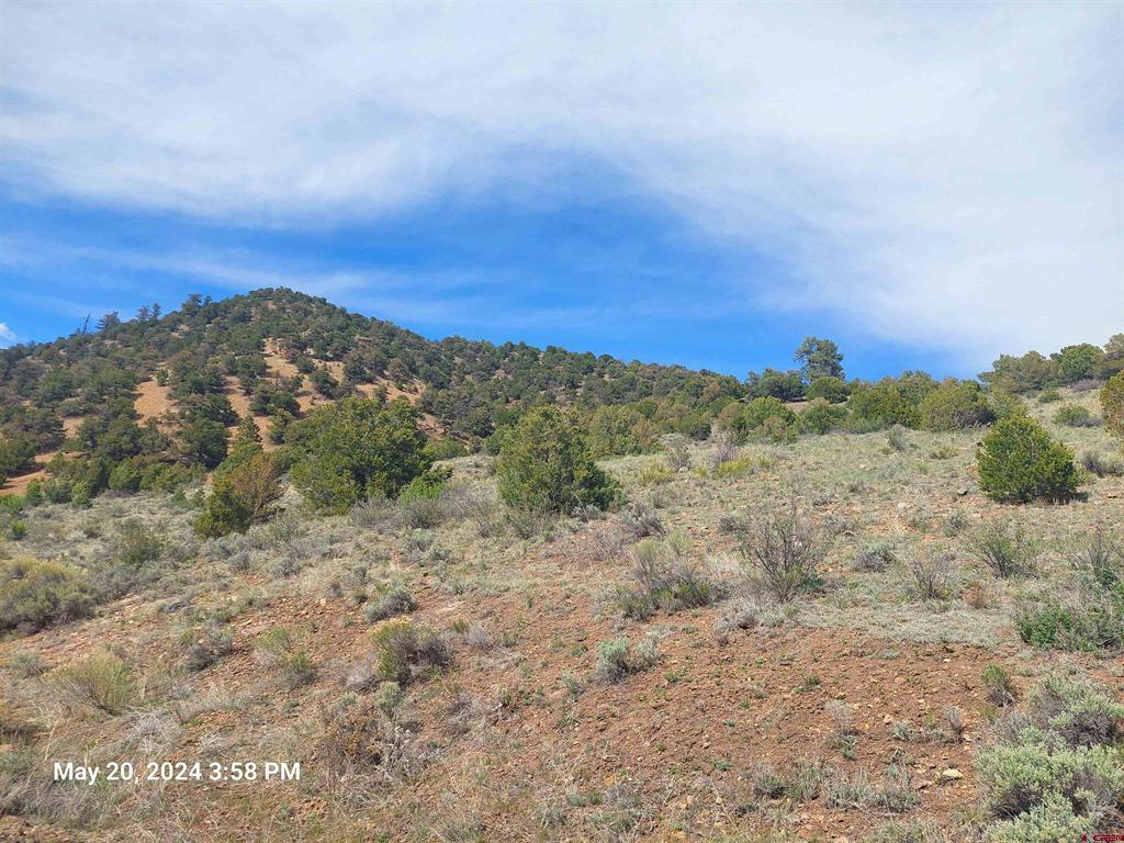2166 Bear Creek Circle South Fork CO 81154