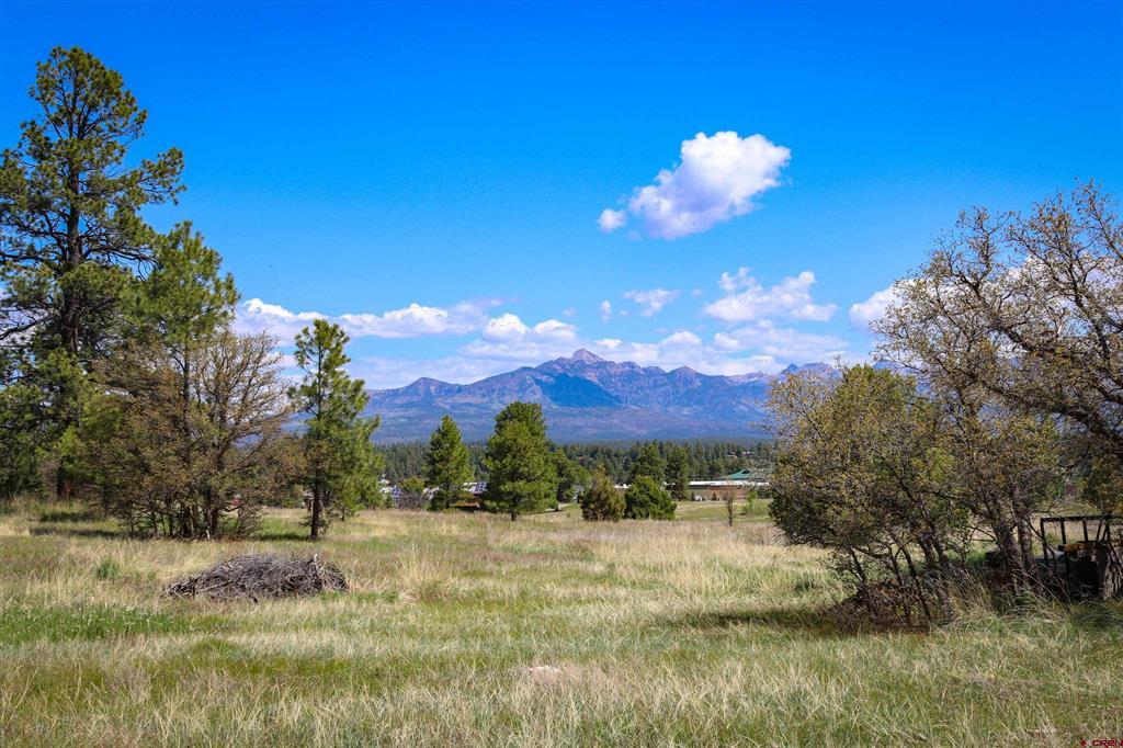 1362 Cool Pines Drive Pagosa Springs CO 81147