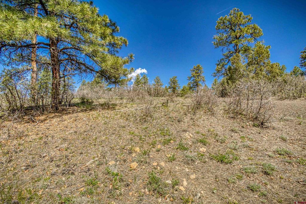 1362 Cool Pines Drive Pagosa Springs CO 81147