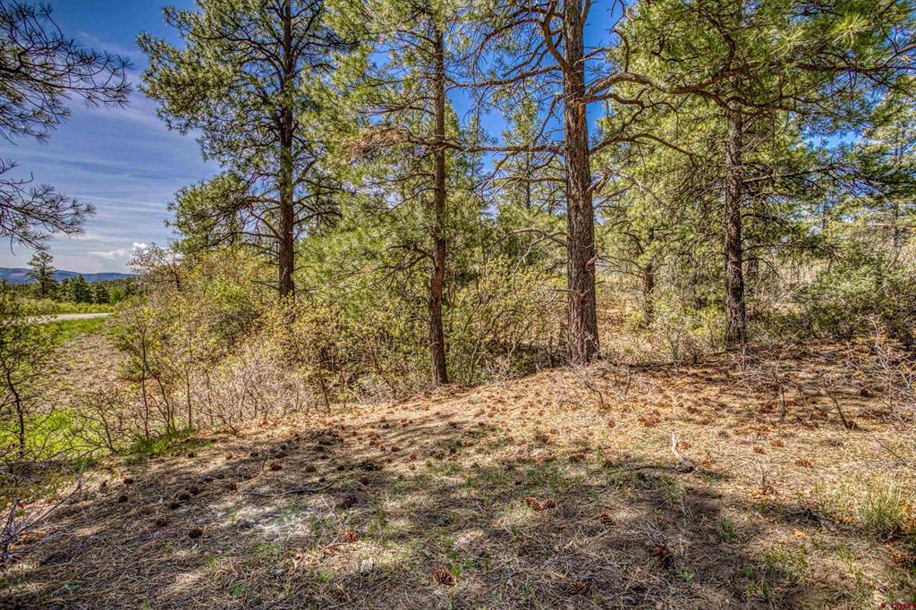 1362 Cool Pines Drive Pagosa Springs CO 81147