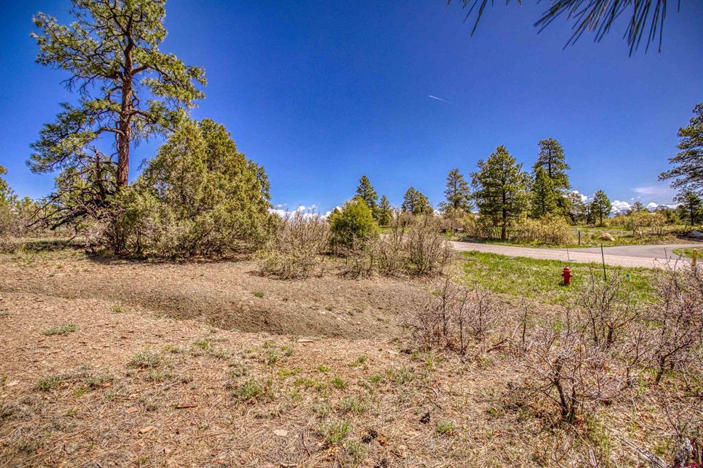 1362 Cool Pines Drive Pagosa Springs CO 81147
