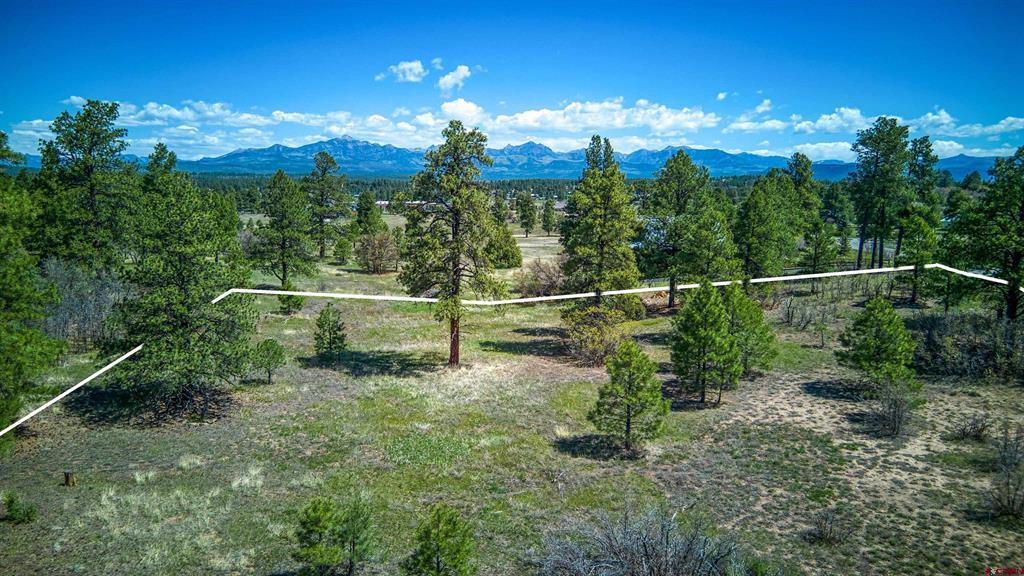 1362 Cool Pines Drive Pagosa Springs CO 81147