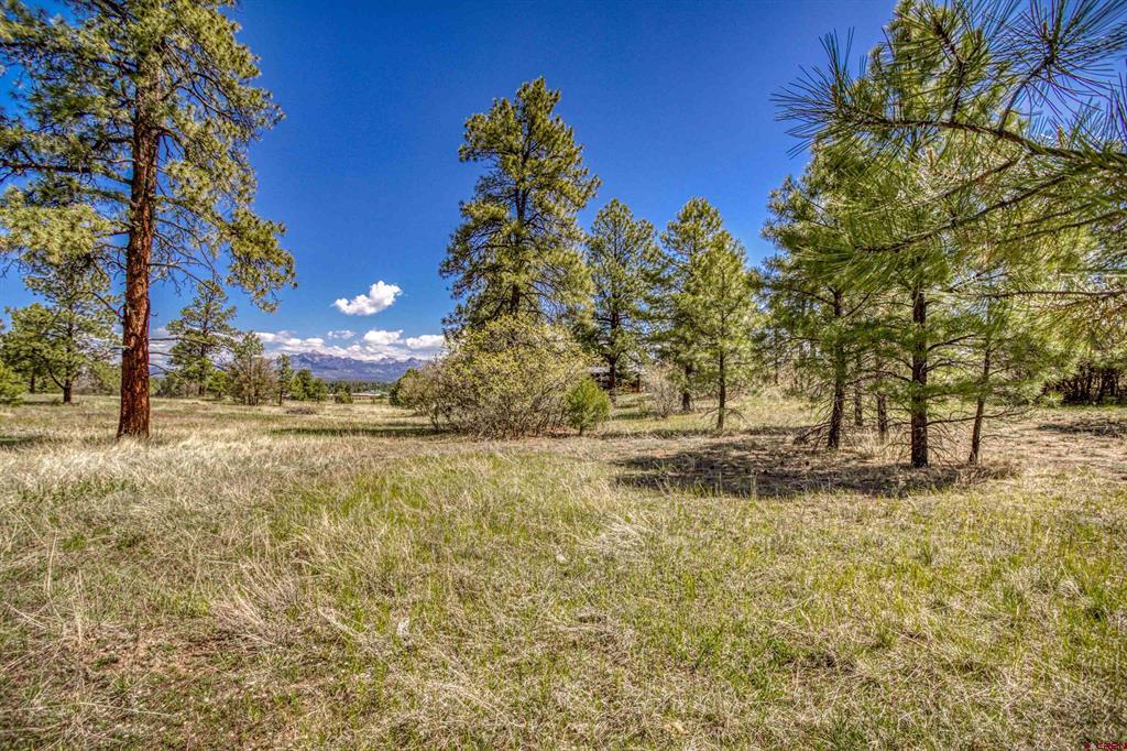 1362 Cool Pines Drive Pagosa Springs CO 81147