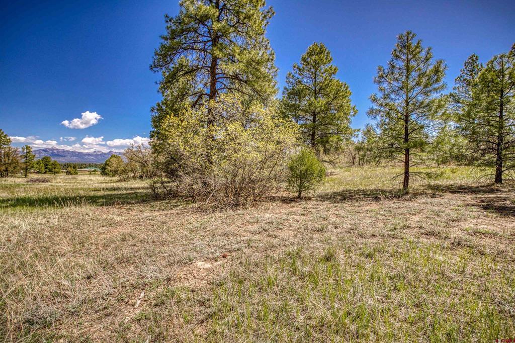 1362 Cool Pines Drive Pagosa Springs CO 81147