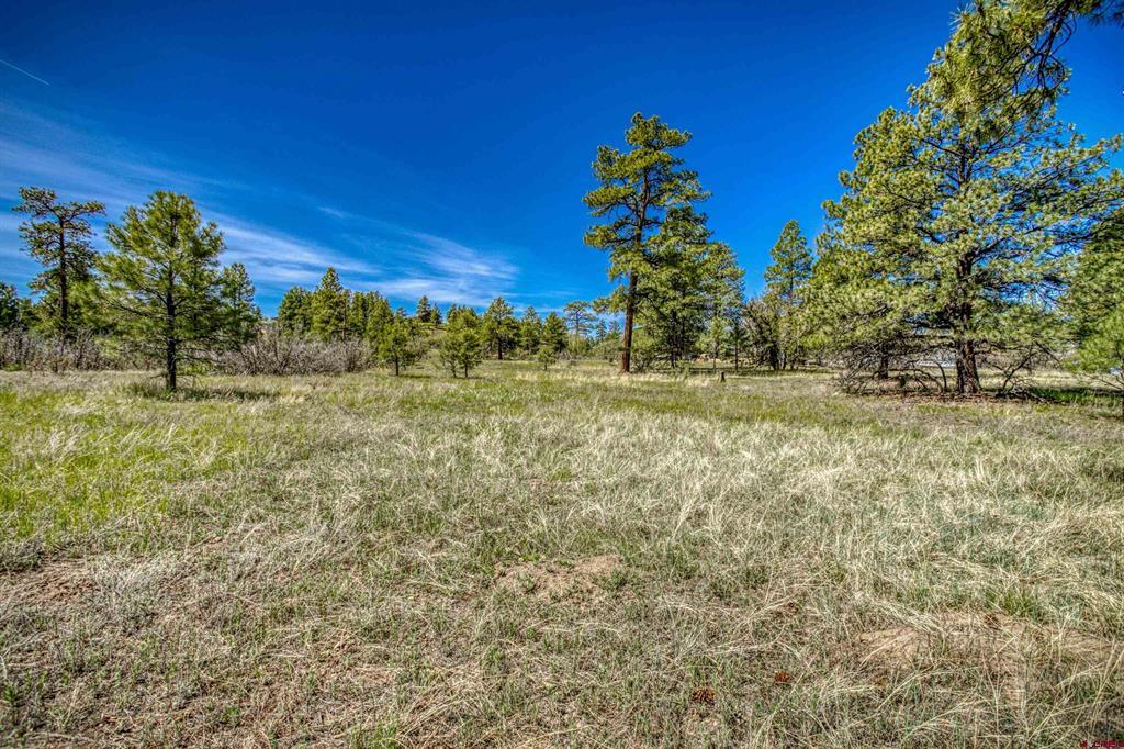 1362 Cool Pines Drive Pagosa Springs CO 81147