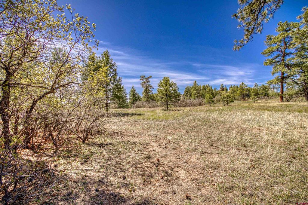1362 Cool Pines Drive Pagosa Springs CO 81147