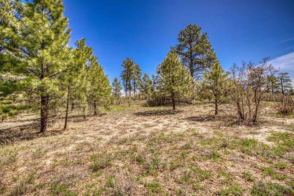 1362 Cool Pines Drive Pagosa Springs CO 81147