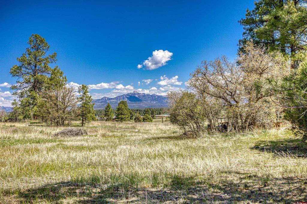1362 Cool Pines Drive Pagosa Springs CO 81147