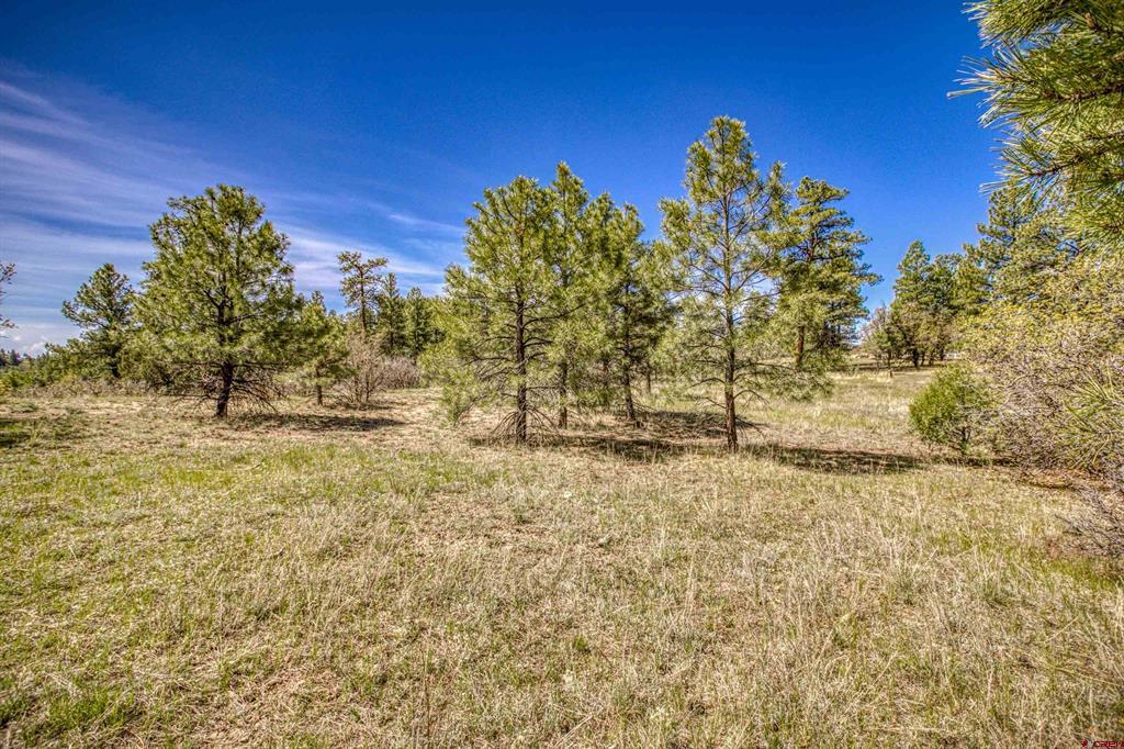 1362 Cool Pines Drive Pagosa Springs CO 81147