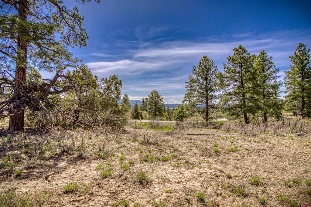 1362 Cool Pines Drive Pagosa Springs CO 81147