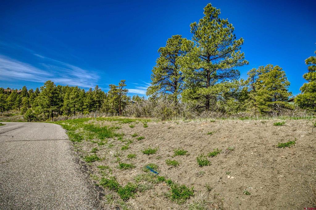 1362 Cool Pines Drive Pagosa Springs CO 81147