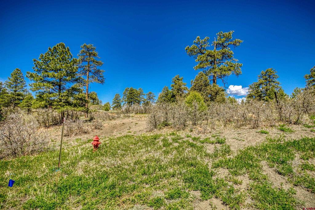 1362 Cool Pines Drive Pagosa Springs CO 81147