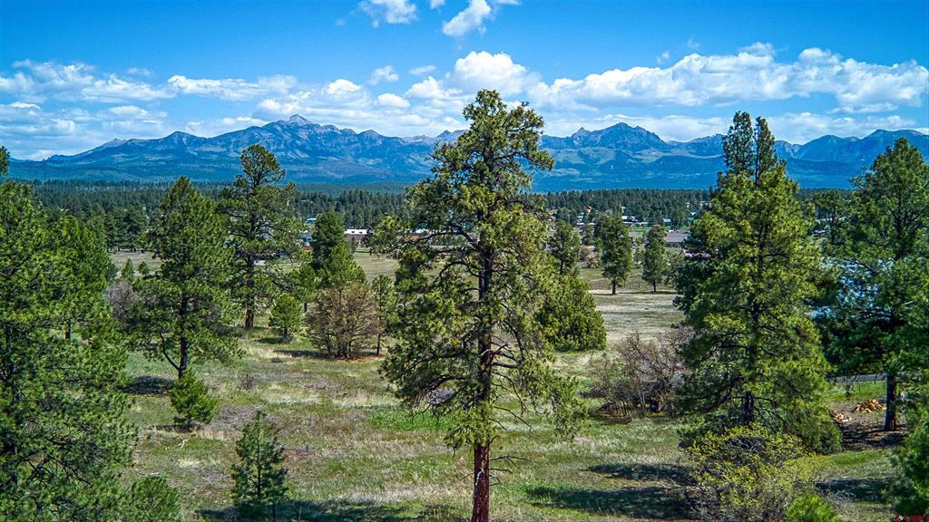 1362 Cool Pines Drive Pagosa Springs CO 81147