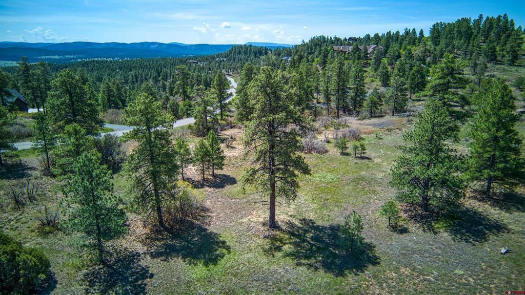 1362 Cool Pines Drive Pagosa Springs CO 81147