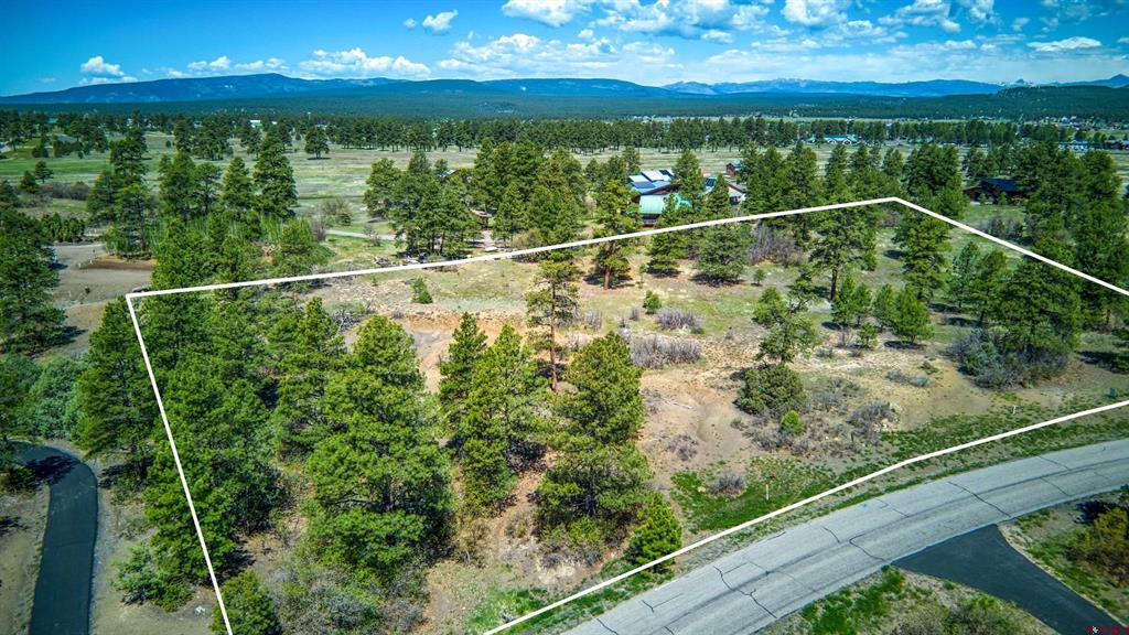 1362 Cool Pines Drive Pagosa Springs CO 81147