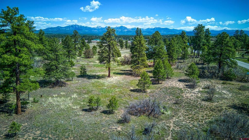 1362 Cool Pines Drive Pagosa Springs CO 81147