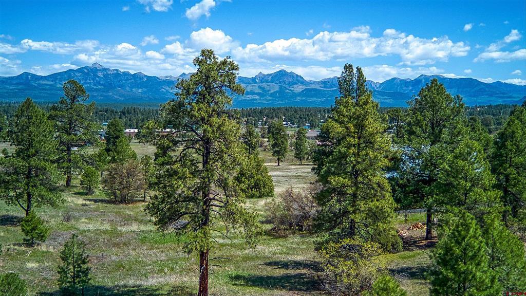 1362 Cool Pines Drive Pagosa Springs CO 81147
