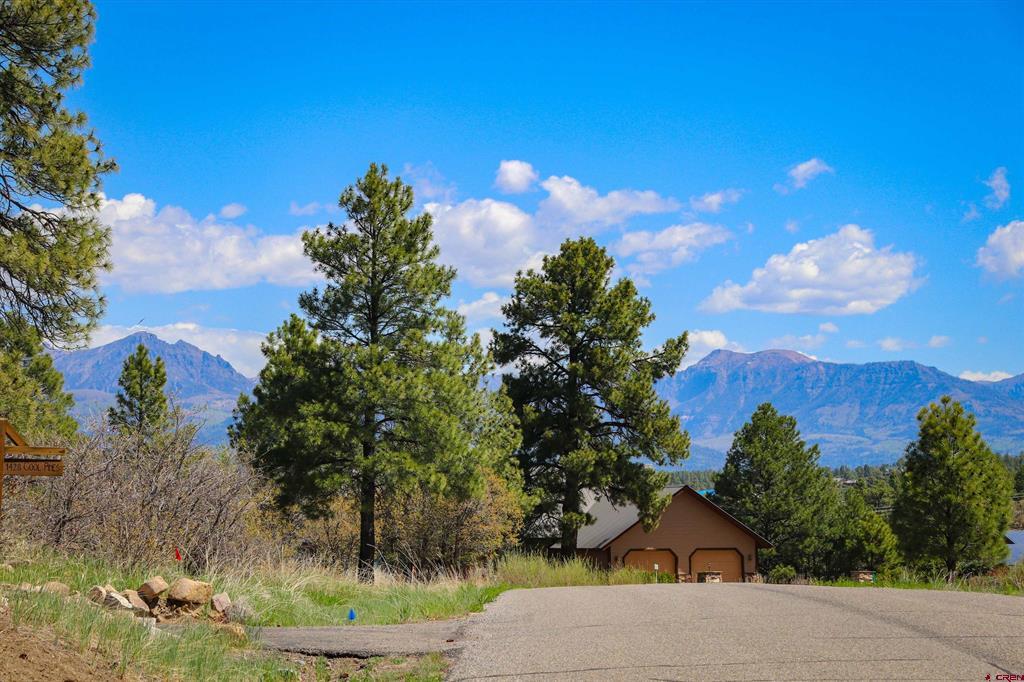 1362 Cool Pines Drive Pagosa Springs CO 81147