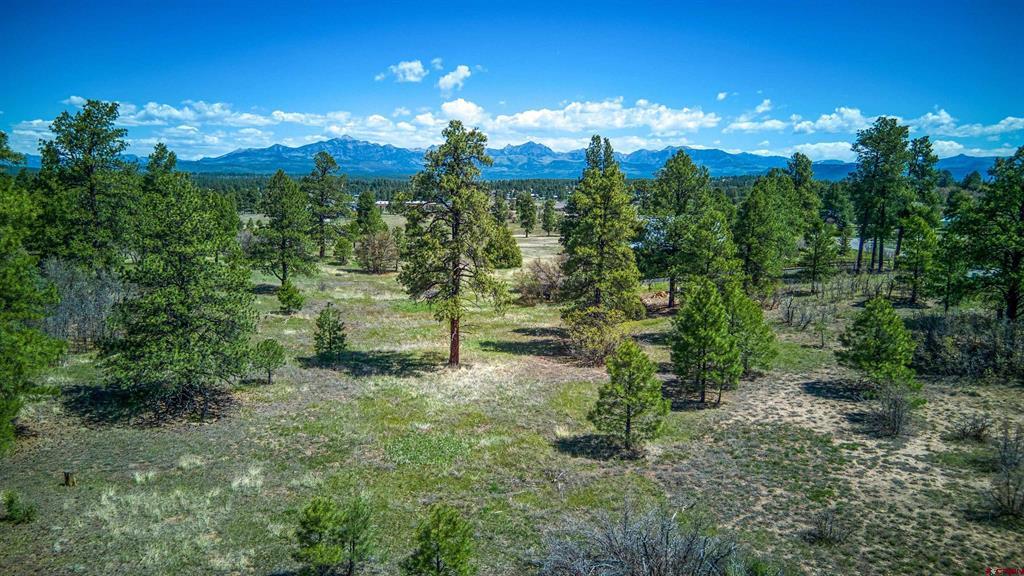 1362 Cool Pines Drive Pagosa Springs CO 81147