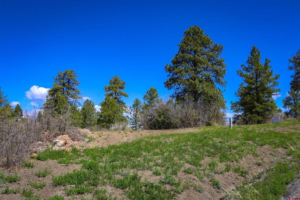 1362 Cool Pines Drive Pagosa Springs CO 81147